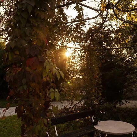 Farm stay Biondelli Wine & Cazzago San Martino