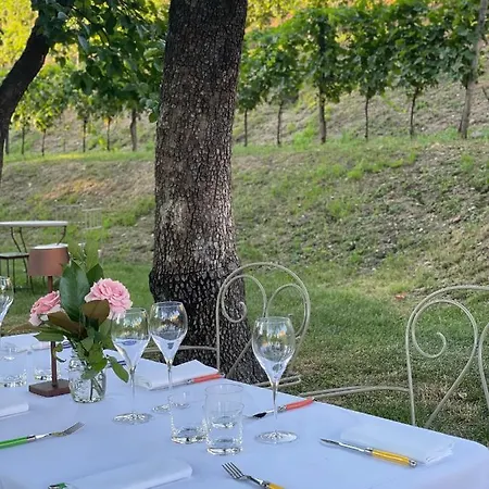 Farm stay Biondelli Wine &