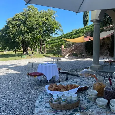 Farm stay Biondelli Wine &