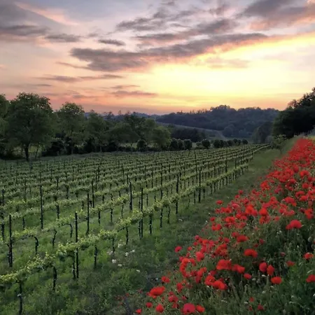 Biondelli Boutique Winery * Cazzago San Martino