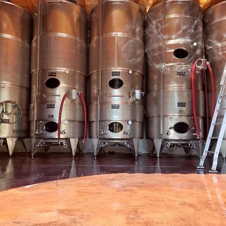 Biondelli Boutique Winery Çiftlik konaklama