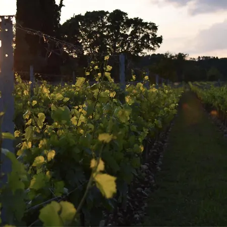 Biondelli Boutique Winery Фермерский дом Cazzago San Martino
