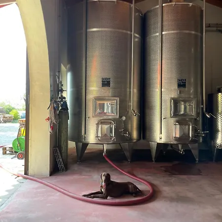 Biondelli Boutique Winery Cazzago San Martino