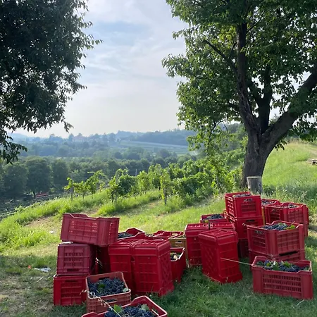 Biondelli Boutique Winery * Cazzago San Martino