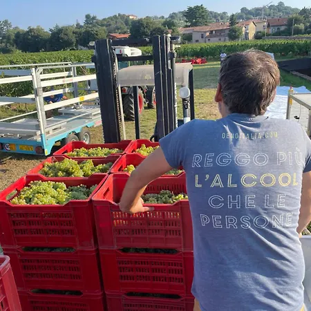 Alloggio per agriturismo Biondelli Boutique Winery *
