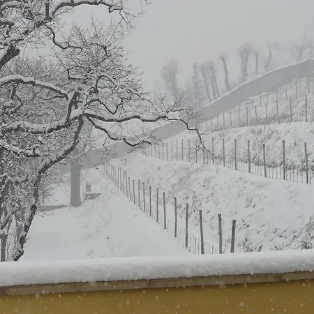Biondelli Boutique Winery Cazzago San Martino