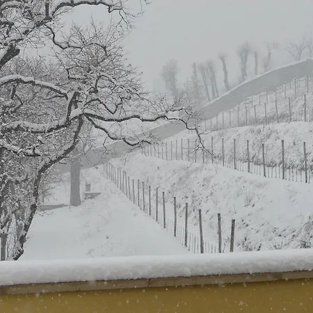 Biondelli Wine & Cazzago San Martino